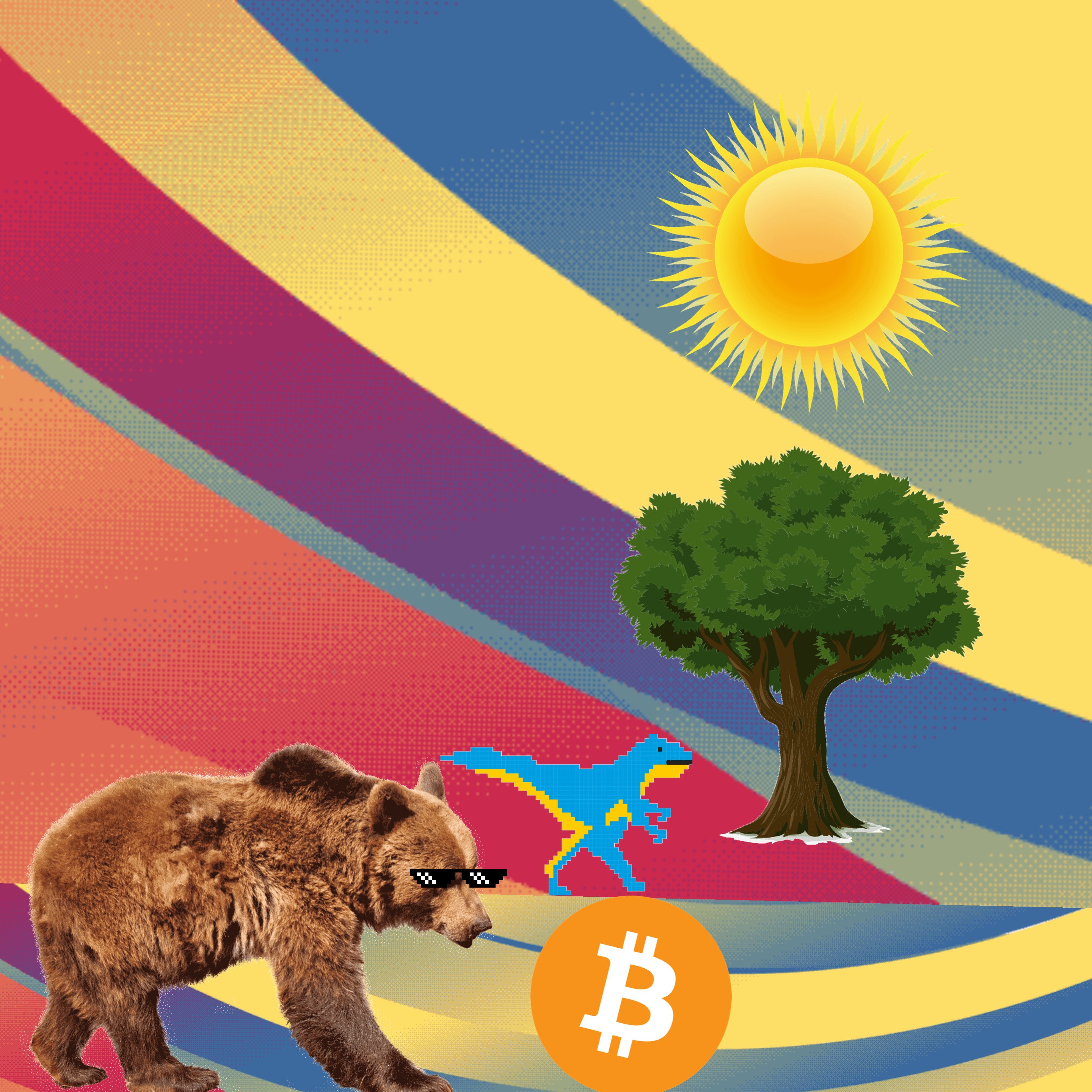 baerabiaufcrypto von tate aus hannover